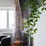 Amoretti Apartment, 6 Persone, 3 Camere, 2 Bagni, Balcone, Wi-Fi, Metro B Monti Tiburtini